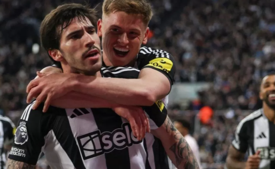 Prediksi Brighton vs Newcastle 25 Mei